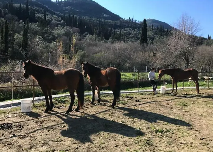 Parque de Campismo St.nicholas Ranch Corfu