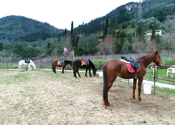Parque de Campismo St.nicholas Ranch Corfu *