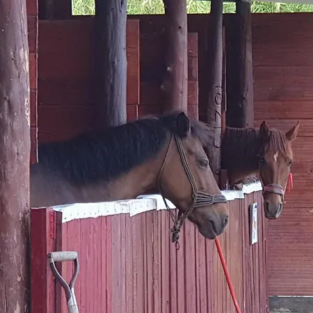 Campeggio St.nicholas Ranch Corfu Benitses (Corfu)