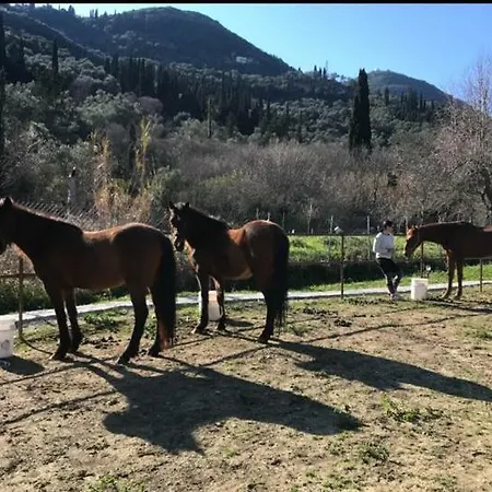 Kamp alanı St.nicholas Ranch Corfu