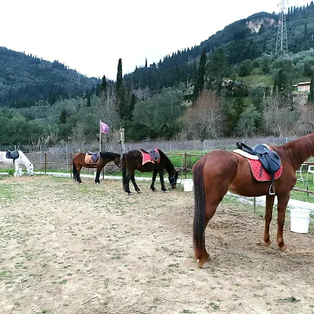 Kamp alanı St.nicholas Ranch Corfu *